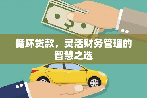 芦洲循环贷款，灵活财务管理的智慧之选