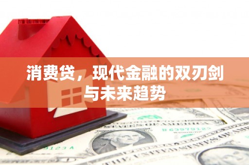 芦洲消费贷，现代金融的双刃剑与未来趋势