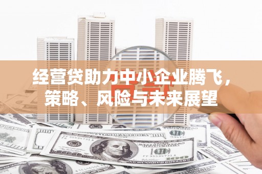 芦洲经营贷助力中小企业腾飞，策略、风险与未来展望