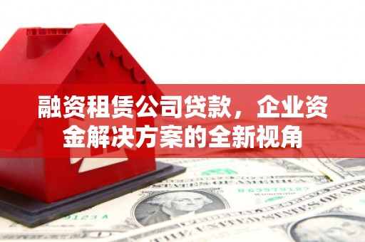 芦洲融资租赁公司贷款，企业资金解决方案的全新视角