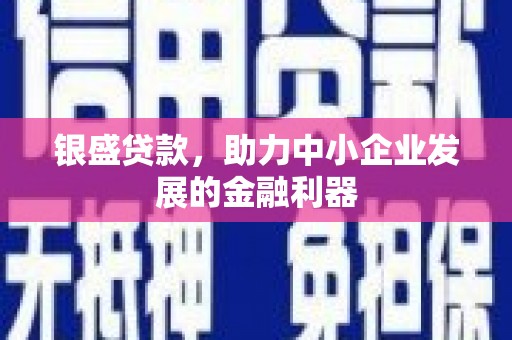 芦洲银盛贷款，助力中小企业发展的金融利器