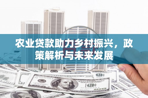 芦洲农业贷款助力乡村振兴，政策解析与未来发展