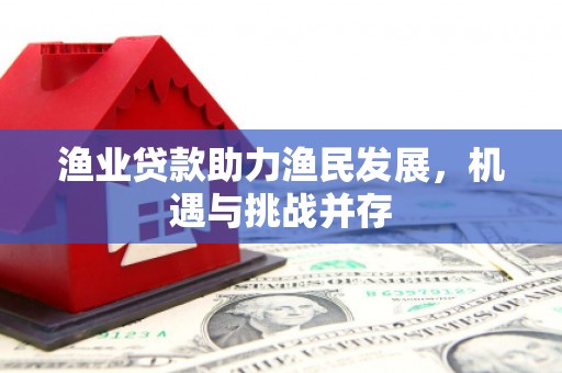 芦洲渔业贷款助力渔民发展，机遇与挑战并存
