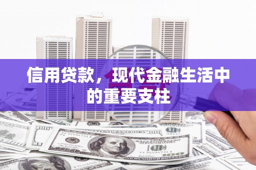 芦洲信用贷款，现代金融生活中的重要支柱