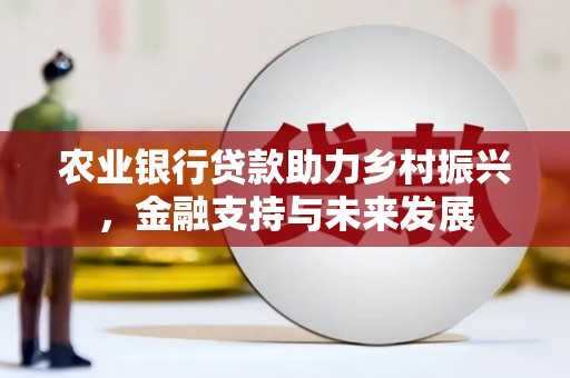 芦洲农业银行贷款助力乡村振兴，金融支持与未来发展