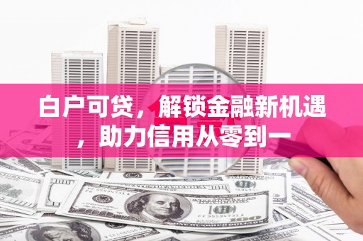 芦洲白户可贷，解锁金融新机遇，助力信用从零到一