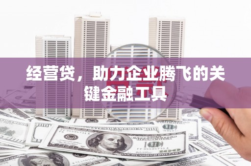 芦洲经营贷，助力企业腾飞的关键金融工具