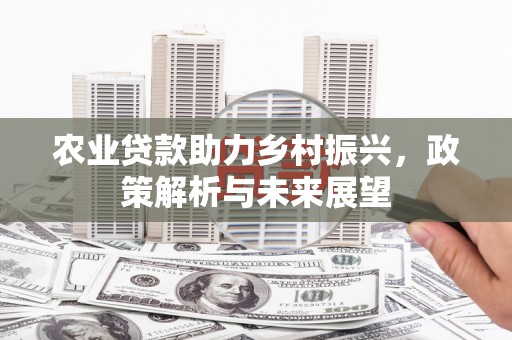 芦洲农业贷款助力乡村振兴，政策解析与未来展望