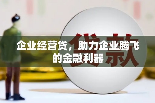 芦洲企业经营贷，助力企业腾飞的金融利器