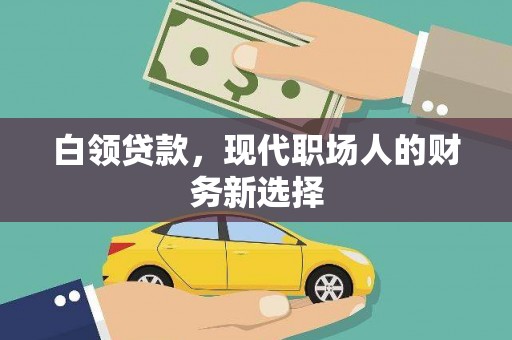 芦洲白领贷款，现代职场人的财务新选择