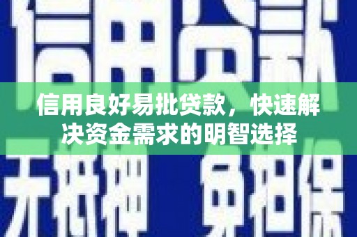 芦洲信用良好易批贷款，快速解决资金需求的明智选择
