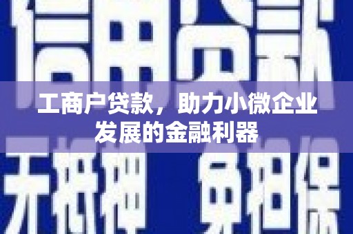 芦洲工商户贷款，助力小微企业发展的金融利器