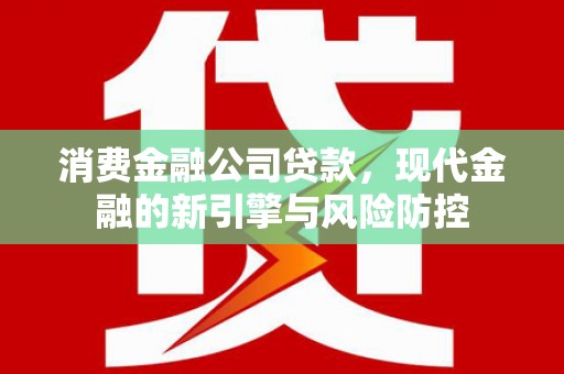 芦洲消费金融公司贷款，现代金融的新引擎与风险防控
