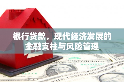芦洲银行贷款，现代经济发展的金融支柱与风险管理