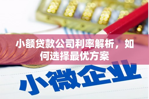芦洲小额贷款公司利率解析，如何选择最优方案