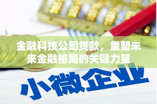 芦洲金融科技公司贷款，重塑未来金融格局的关键力量