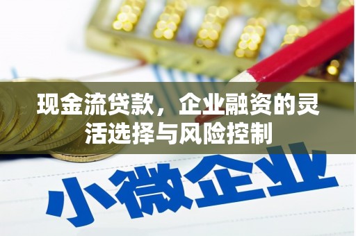 芦洲现金流贷款，企业融资的灵活选择与风险控制