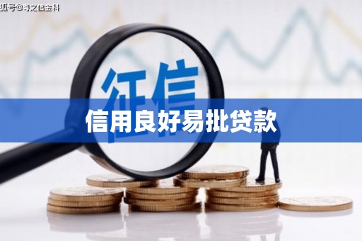 芦洲信用良好易批贷款