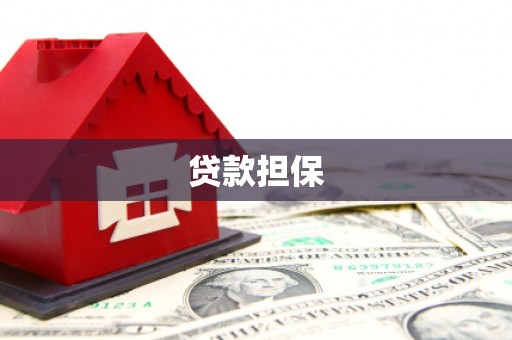 芦洲贷款担保