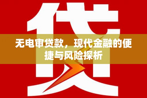 芦洲无电审贷款，现代金融的便捷与风险探析