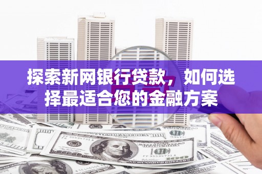 芦洲探索新网银行贷款，如何选择最适合您的金融方案