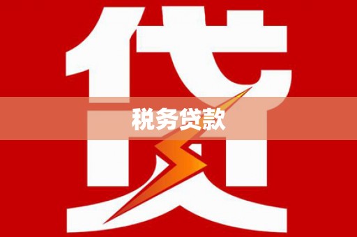 芦洲税务贷款