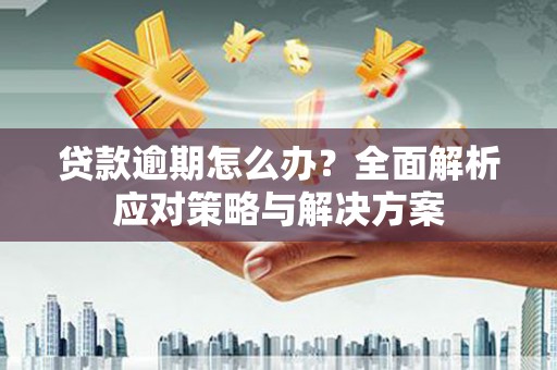 芦洲贷款逾期怎么办？全面解析应对策略与解决方案