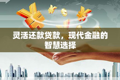 芦洲灵活还款贷款，现代金融的智慧选择