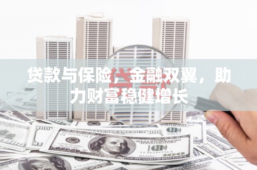 芦洲贷款与保险，金融双翼，助力财富稳健增长