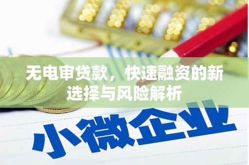 芦洲无电审贷款，快速融资的新选择与风险解析