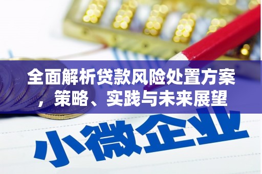 芦洲全面解析贷款风险处置方案，策略、实践与未来展望