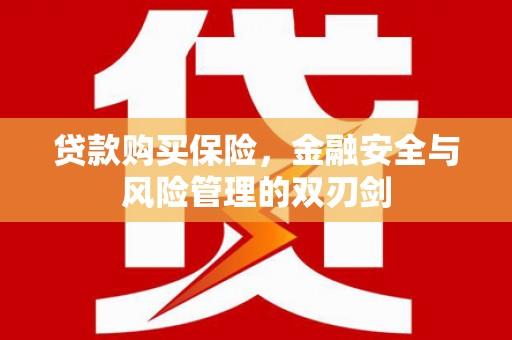芦洲贷款购买保险，金融安全与风险管理的双刃剑