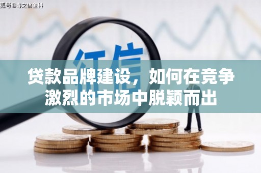 芦洲贷款品牌建设，如何在竞争激烈的市场中脱颖而出