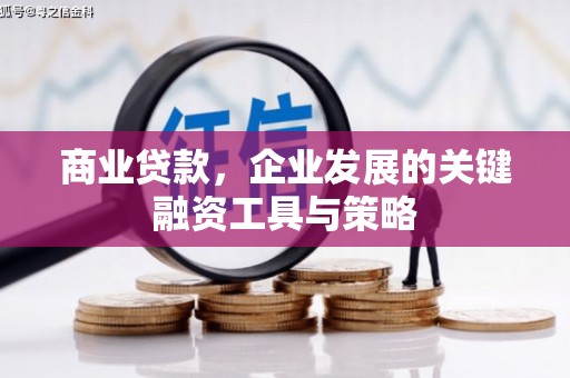 芦洲商业贷款，企业发展的关键融资工具与策略