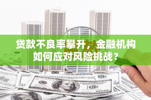 芦洲贷款不良率攀升，金融机构如何应对风险挑战？
