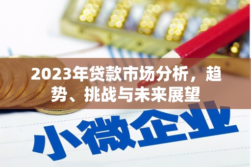 芦洲2023年贷款市场分析，趋势、挑战与未来展望