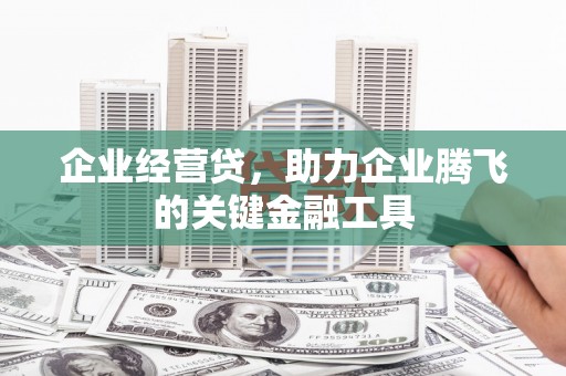 芦洲企业经营贷，助力企业腾飞的关键金融工具