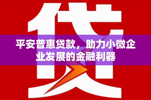 芦洲平安普惠贷款，助力小微企业发展的金融利器
