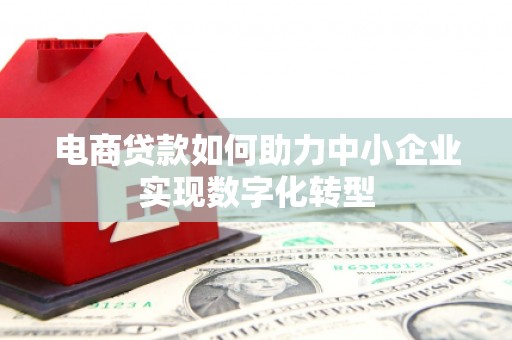 芦洲电商贷款如何助力中小企业实现数字化转型