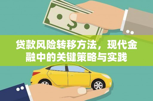 芦洲贷款风险转移方法，现代金融中的关键策略与实践
