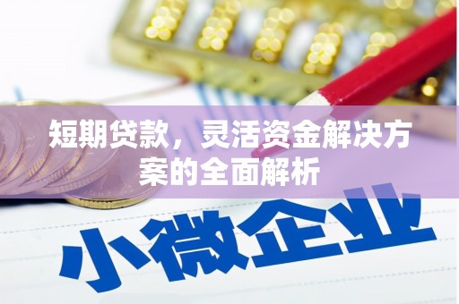 芦洲短期贷款，灵活资金解决方案的全面解析