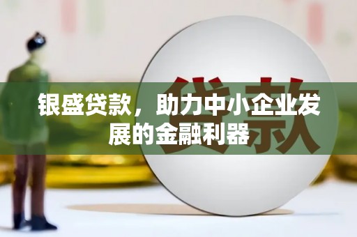 芦洲银盛贷款，助力中小企业发展的金融利器