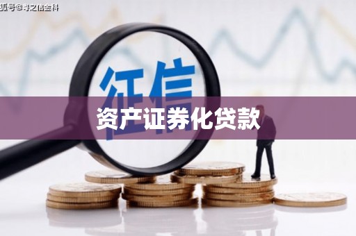 芦洲资产证券化贷款