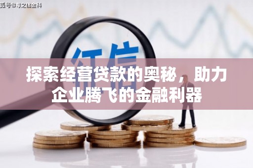 芦洲探索经营贷款的奥秘，助力企业腾飞的金融利器