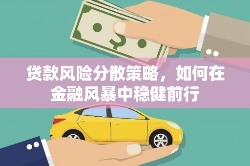 芦洲贷款风险分散策略，如何在金融风暴中稳健前行