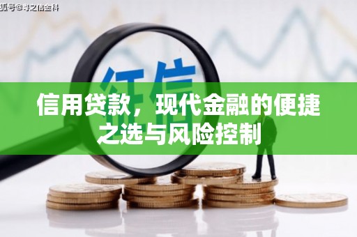芦洲信用贷款，现代金融的便捷之选与风险控制