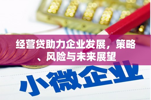 芦洲经营贷助力企业发展，策略、风险与未来展望