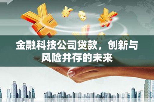 芦洲金融科技公司贷款，创新与风险并存的未来