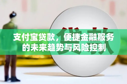 芦洲支付宝贷款，便捷金融服务的未来趋势与风险控制