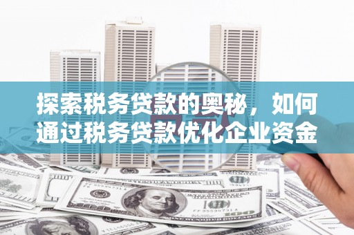 芦洲探索税务贷款的奥秘，如何通过税务贷款优化企业资金流